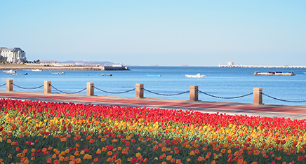 Landing Yantai office